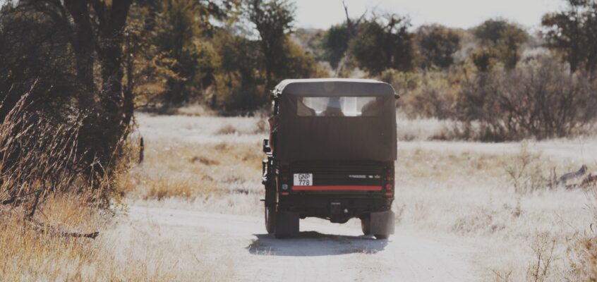African Safari: Tanzania
